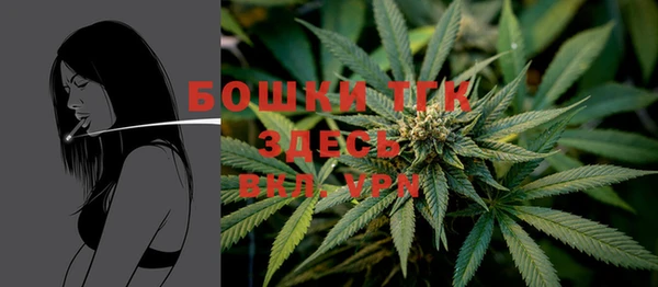 хмурый Вязьма