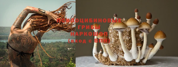 хмурый Вязьма