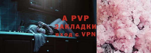 спайс Вяземский
