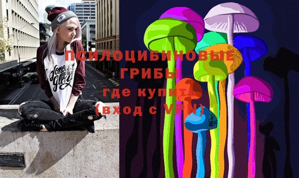 спайс Вяземский