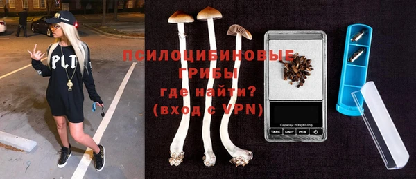 спайс Вяземский
