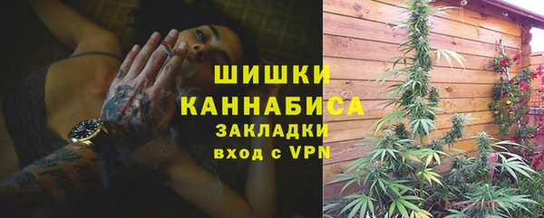 спайс Вяземский