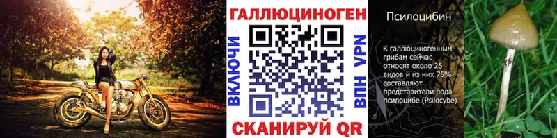 сколько стоит  Звенигород  Псилоцибиновые грибы прущие грибы 