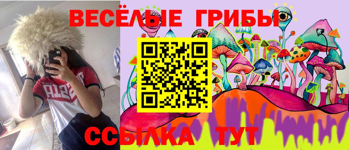 Галлюциногенные грибы мицелий Звенигород