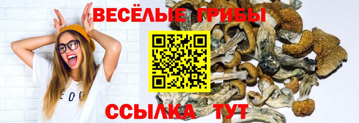 Звенигород  Псилоцибиновые грибы мицелий  Вход с VPN 