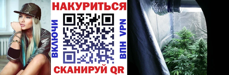 Марихуана Amnesia  купить наркотики сайты  блэк спрут   Звенигород 