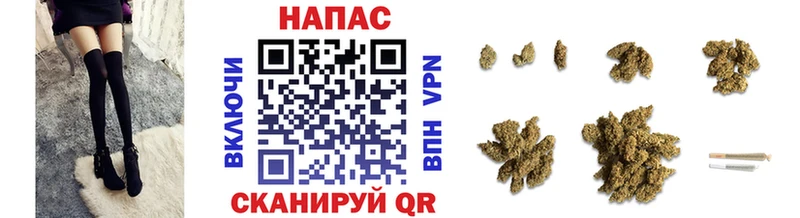 Бошки марихуана конопля Звенигород